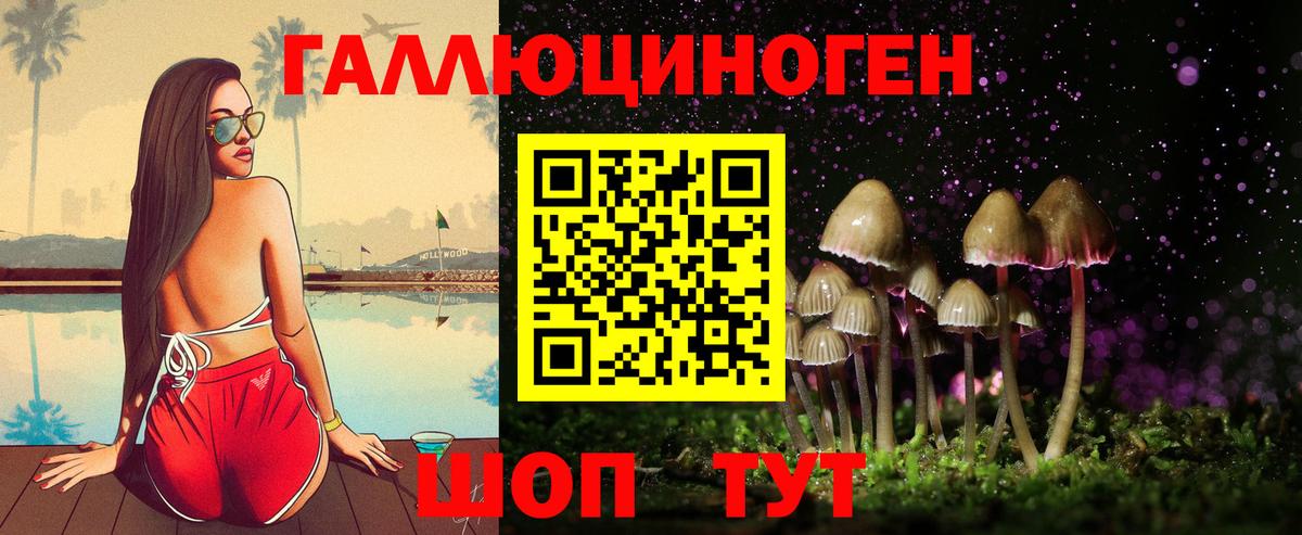 Рославль  Псилоцибиновые грибы MAGIC MUSHROOMS  Вход с VPN 